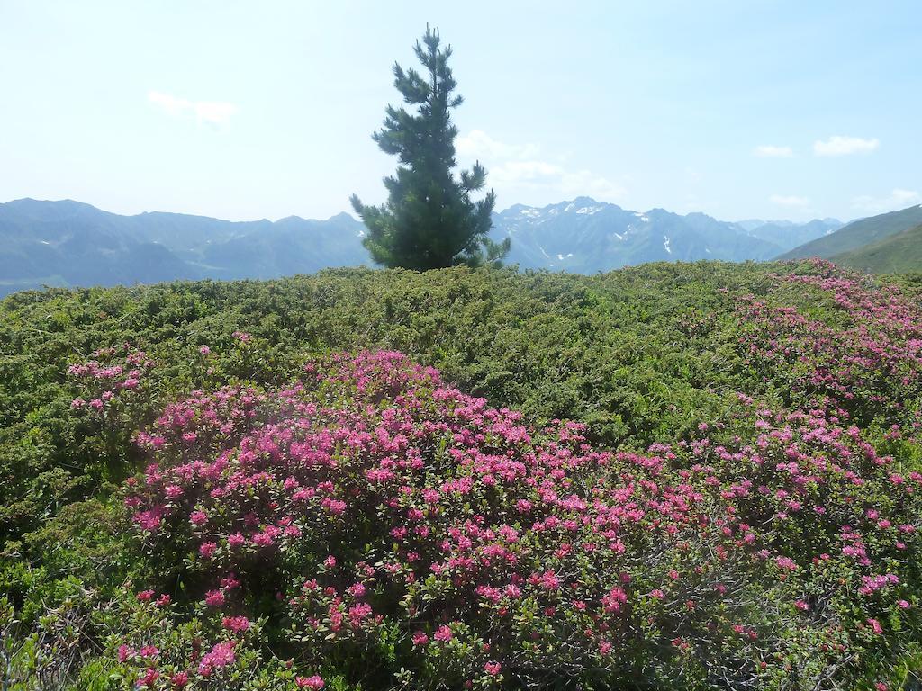 Appartement Wasserer Ahrntal Ruang foto